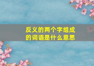 反义的两个字组成的词语是什么意思