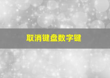 取消键盘数字键