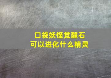 口袋妖怪觉醒石可以进化什么精灵