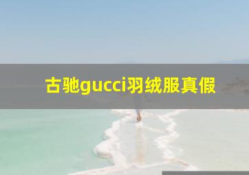 古驰gucci羽绒服真假