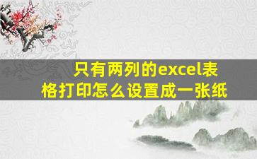 只有两列的excel表格打印怎么设置成一张纸