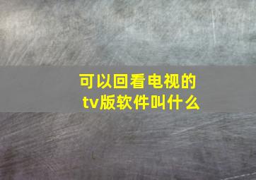 可以回看电视的tv版软件叫什么