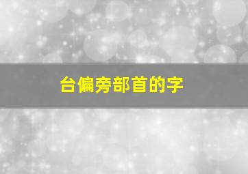 台偏旁部首的字