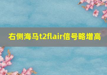 右侧海马t2flair信号略增高