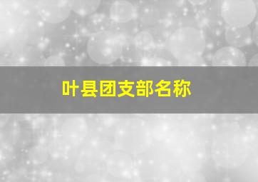 叶县团支部名称