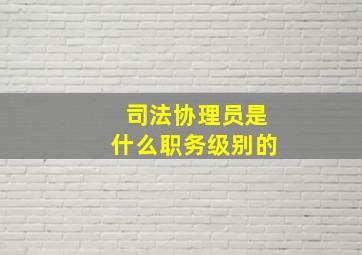 司法协理员是什么职务级别的