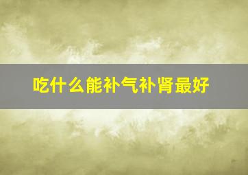 吃什么能补气补肾最好