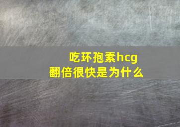 吃环孢素hcg翻倍很快是为什么