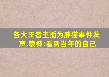 各大王者主播为胖猫事件发声,赖神:看到当年的自己