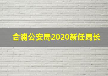 合浦公安局2020新任局长