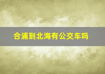 合浦到北海有公交车吗