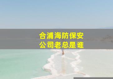 合浦海防保安公司老总是谁