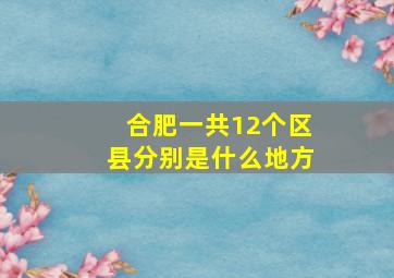 合肥一共12个区县分别是什么地方