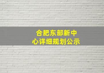 合肥东部新中心详细规划公示