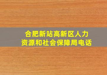 合肥新站高新区人力资源和社会保障局电话