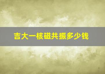 吉大一核磁共振多少钱