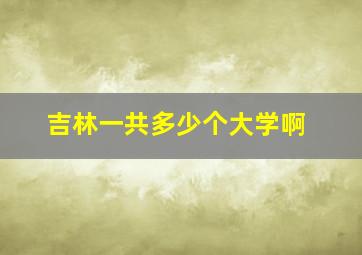 吉林一共多少个大学啊