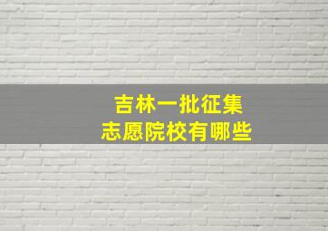 吉林一批征集志愿院校有哪些