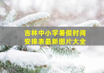 吉林中小学暑假时间安排表最新图片大全