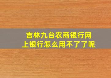 吉林九台农商银行网上银行怎么用不了了呢