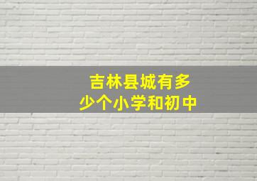 吉林县城有多少个小学和初中