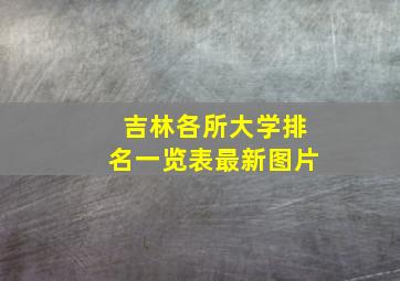 吉林各所大学排名一览表最新图片