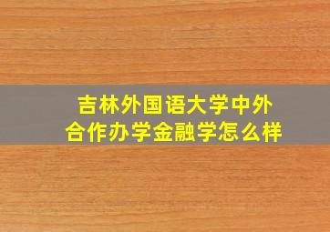 吉林外国语大学中外合作办学金融学怎么样