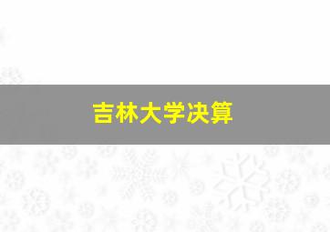 吉林大学决算