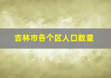 吉林市各个区人口数量