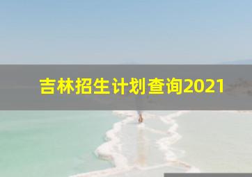 吉林招生计划查询2021