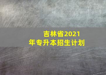 吉林省2021年专升本招生计划