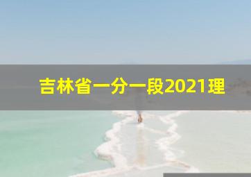 吉林省一分一段2021理