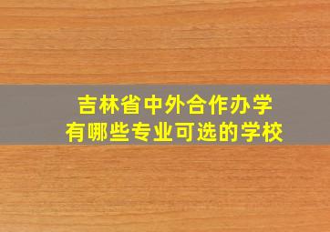 吉林省中外合作办学有哪些专业可选的学校