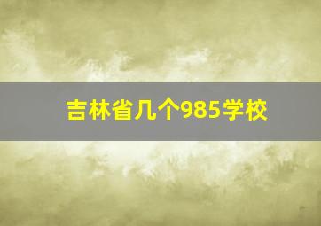 吉林省几个985学校