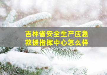 吉林省安全生产应急救援指挥中心怎么样