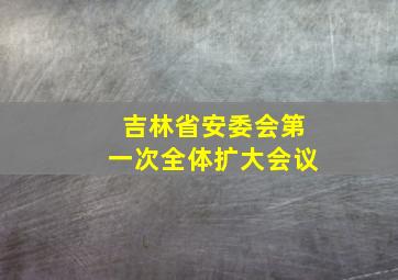 吉林省安委会第一次全体扩大会议