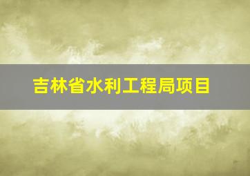 吉林省水利工程局项目