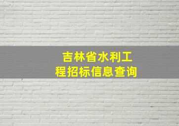 吉林省水利工程招标信息查询