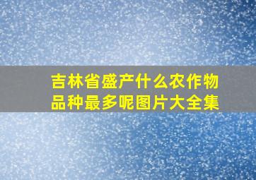 吉林省盛产什么农作物品种最多呢图片大全集