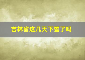 吉林省这几天下雪了吗