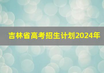 吉林省高考招生计划2024年