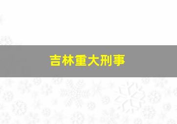 吉林重大刑事