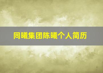 同曦集团陈曦个人简历