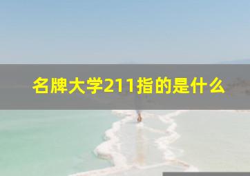 名牌大学211指的是什么