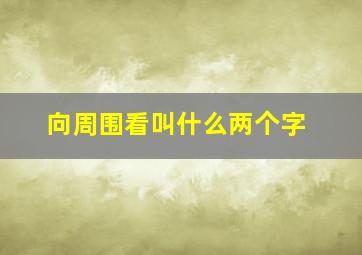 向周围看叫什么两个字