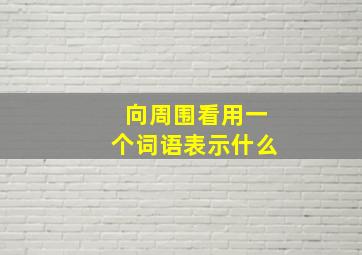 向周围看用一个词语表示什么