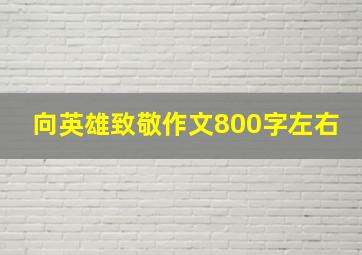 向英雄致敬作文800字左右