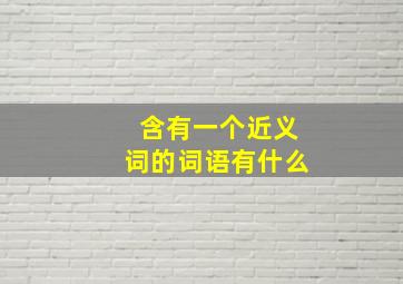 含有一个近义词的词语有什么