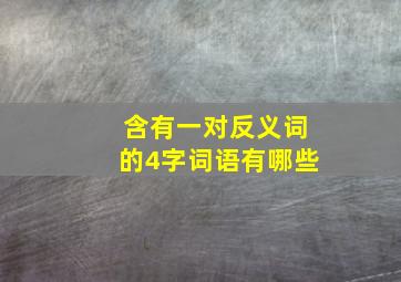 含有一对反义词的4字词语有哪些