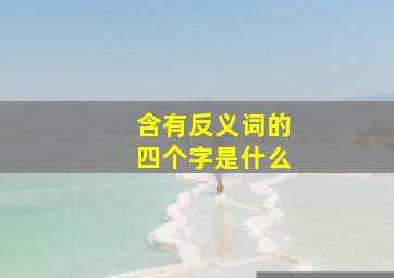 含有反义词的四个字是什么